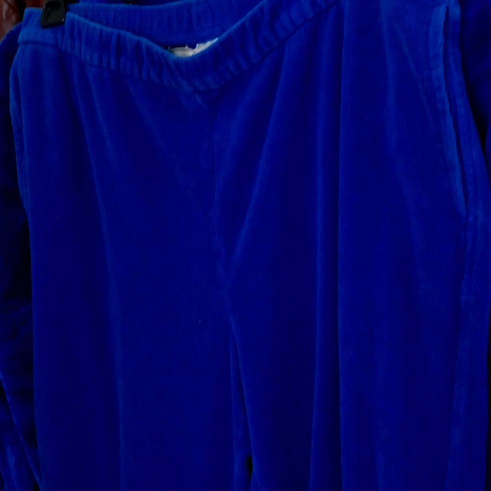Allison Daily pants sz 14, a deep blue color.